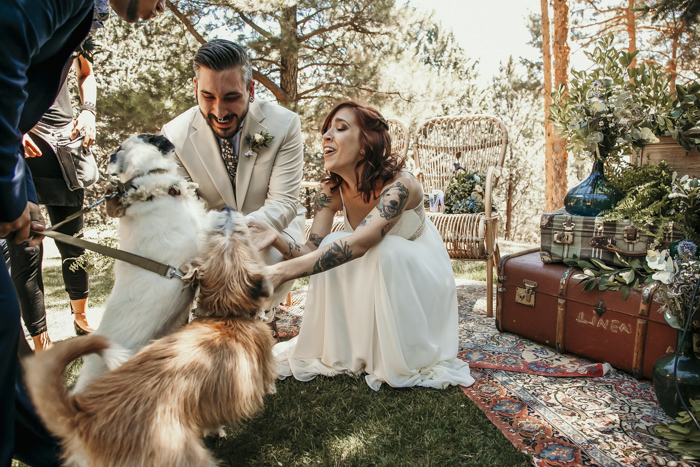 6 consejos para bodas con perros