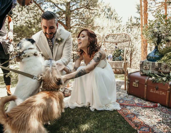 6 consejos para bodas con perros